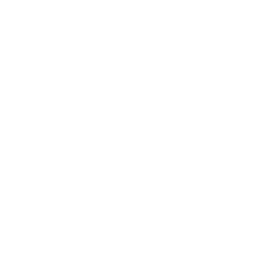 CE Icon